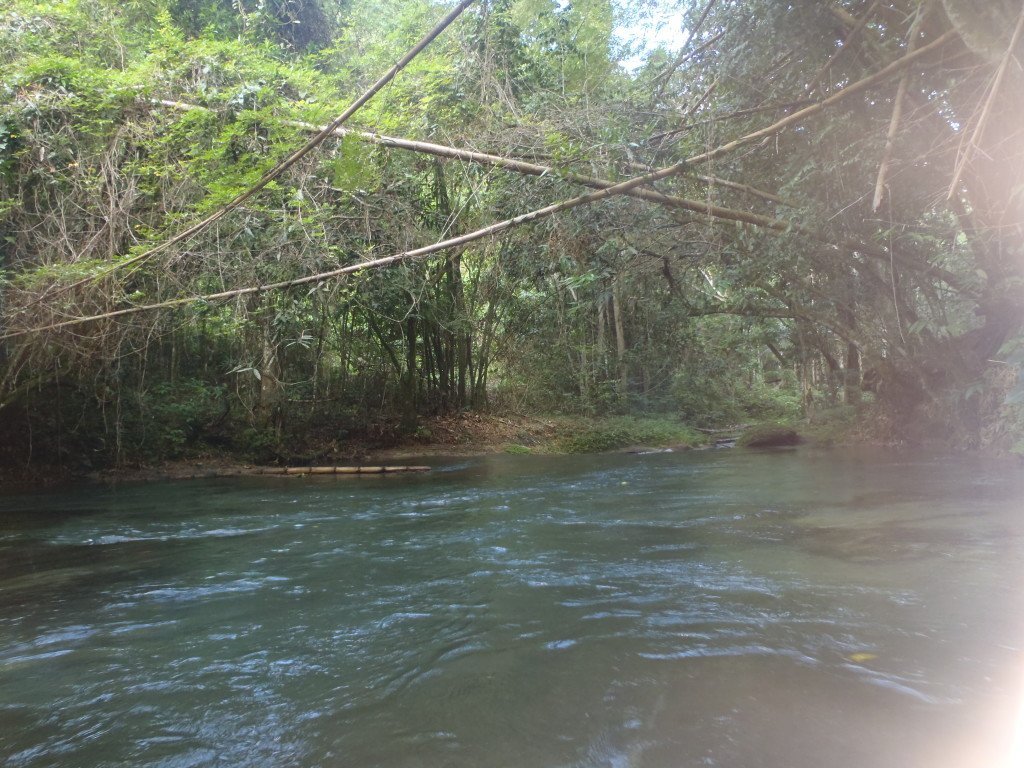 My Ocho Rios Experience - Jamaica - Travel Blog - The Good Rogue