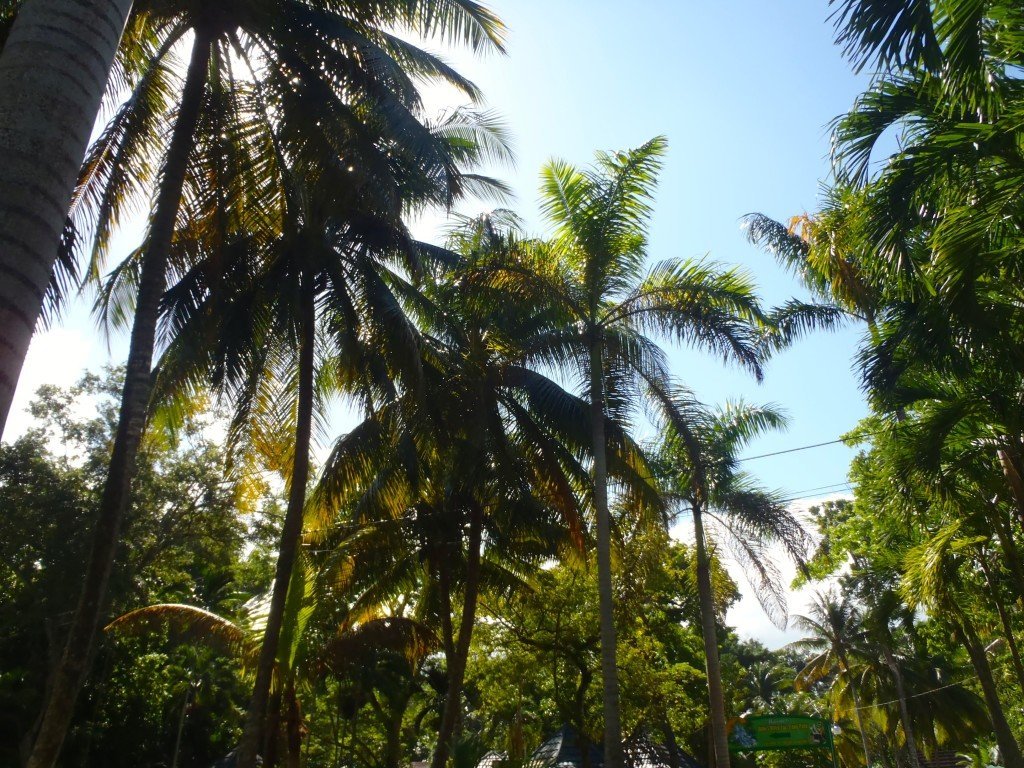 My Ocho Rios Experience - Jamaica - Travel Blog - The Good Rogue