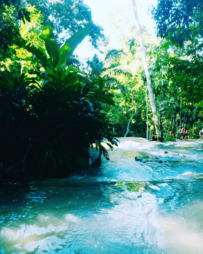 From Ocho Rios with love | The Good Rogue