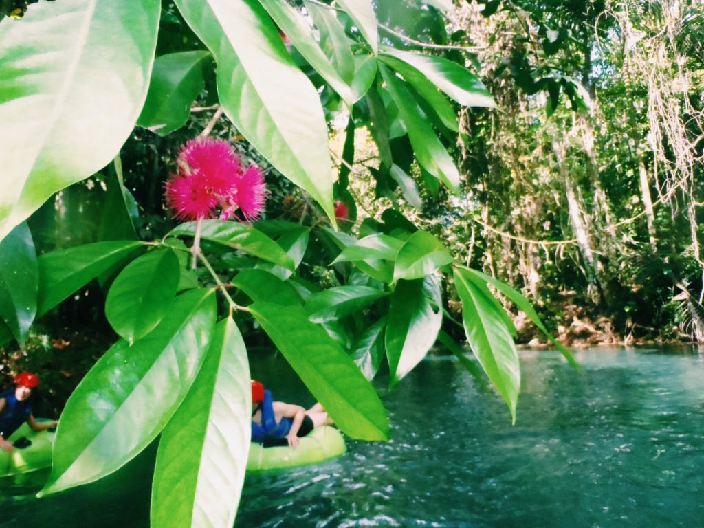 White River Tubing - Ocho Rios - Jamaica - The Good Rogue