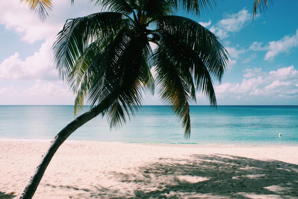 Grand Cayman - The Good Rogue