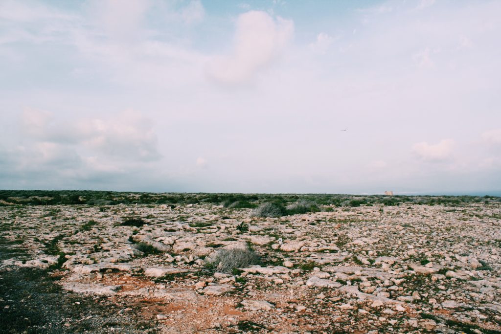 La Mola - Formentera - The Good Rogue