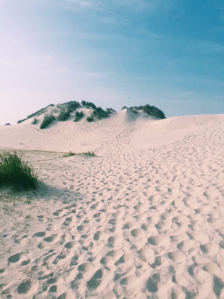 Het Oerd Ameland - World Travel Blog