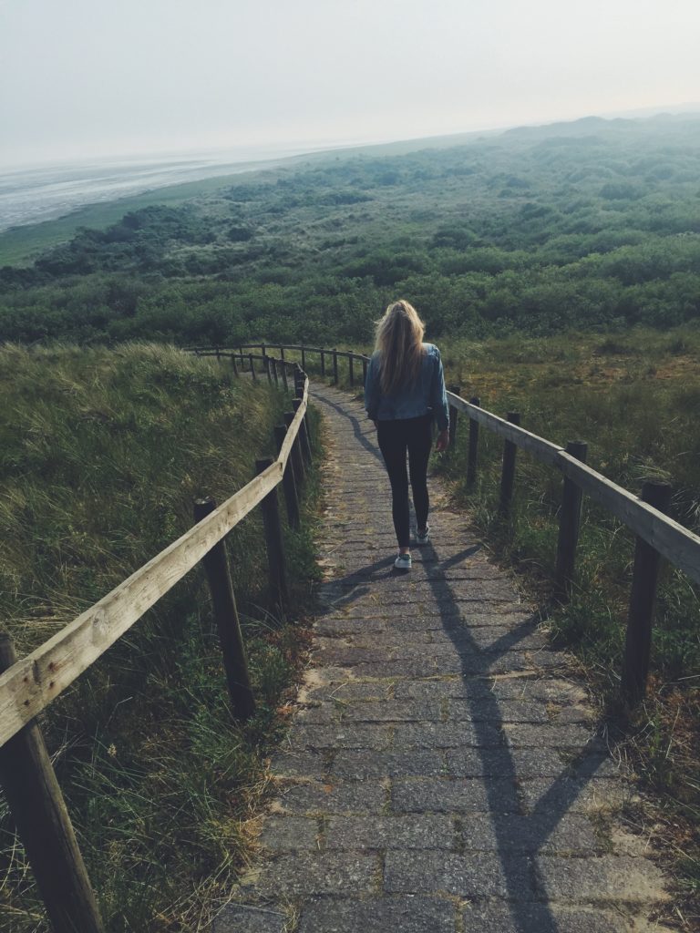 Het Oerd Ameland - World Travel Blog