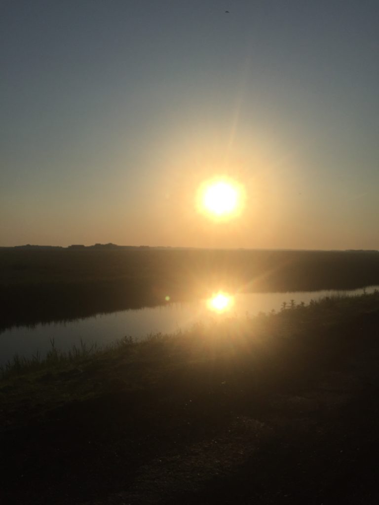 Het Oerd Ameland - World Travel Blog