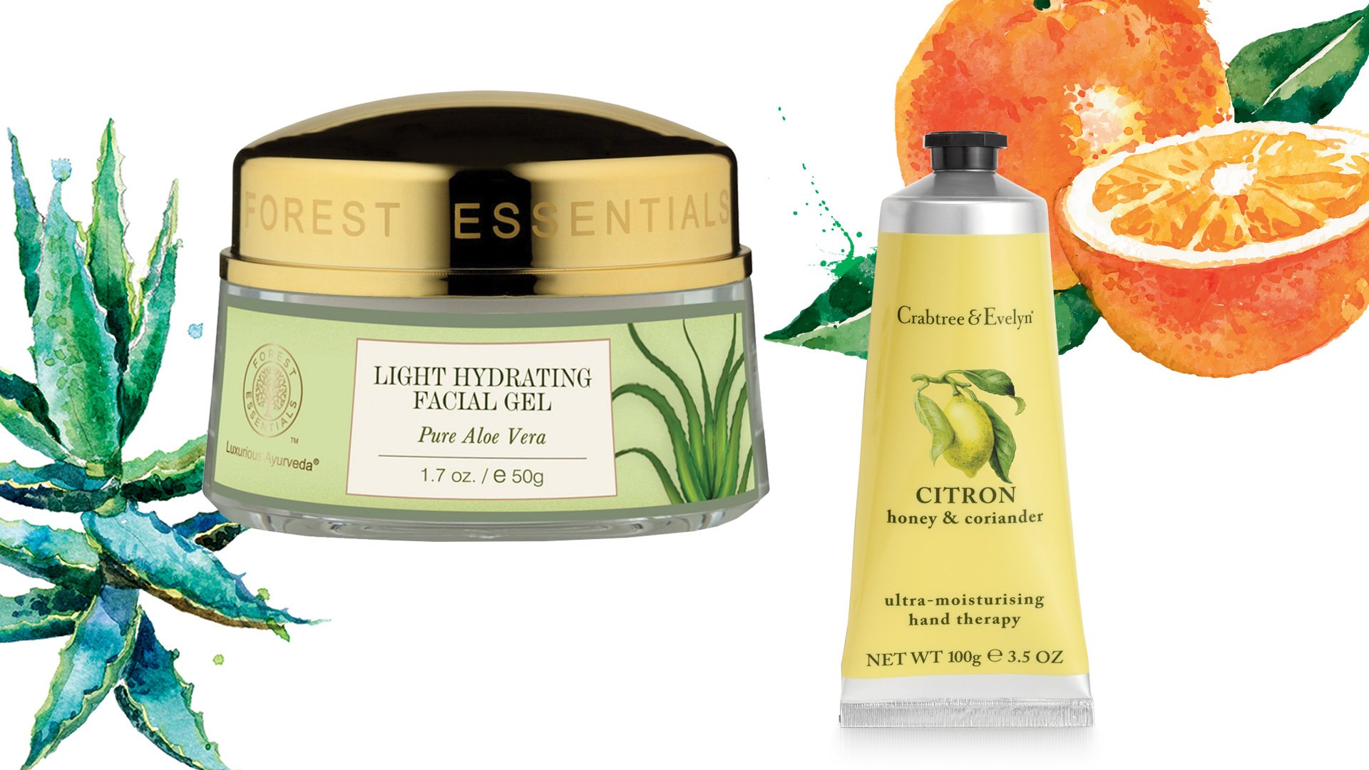 5 Herbs that Can Detoxify Your Body