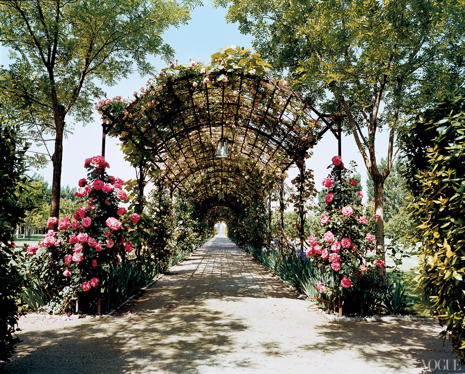 How to Create Your Garden Getaway This Summer