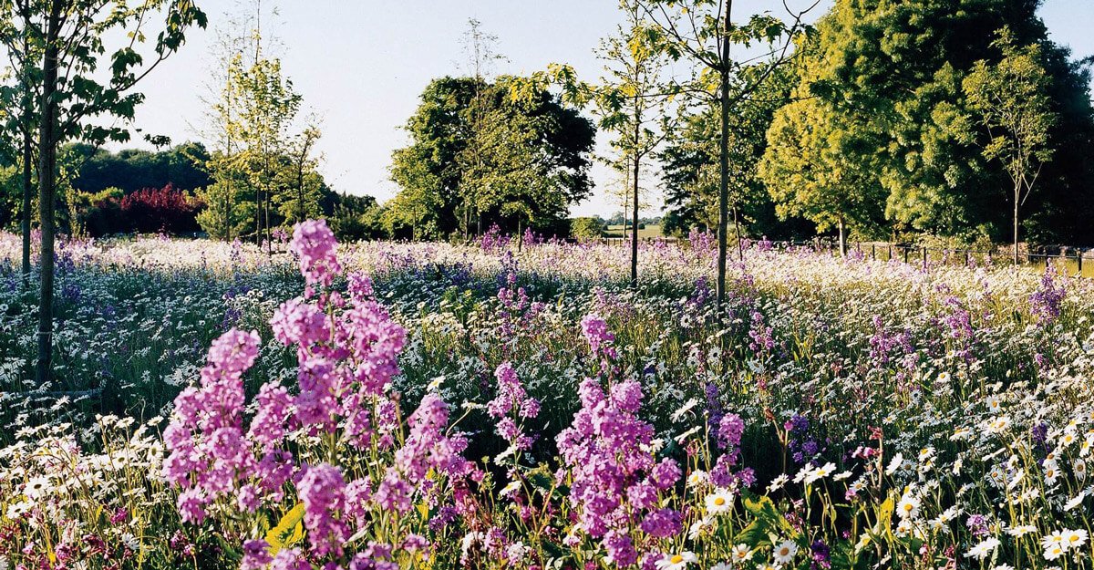 8 Tips to Help with Your Spring Cleaning